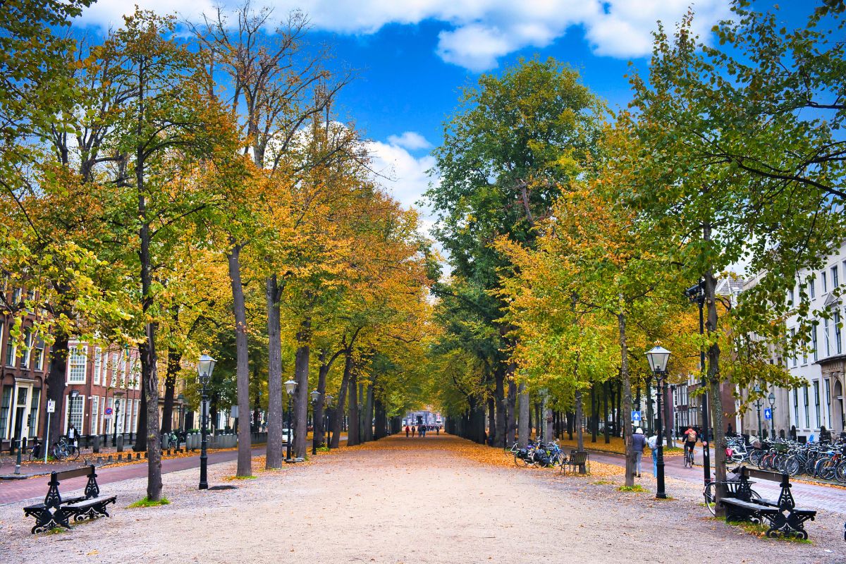 Lange Voorhout, The Hague, The Netherlands. Tuesday 26th April