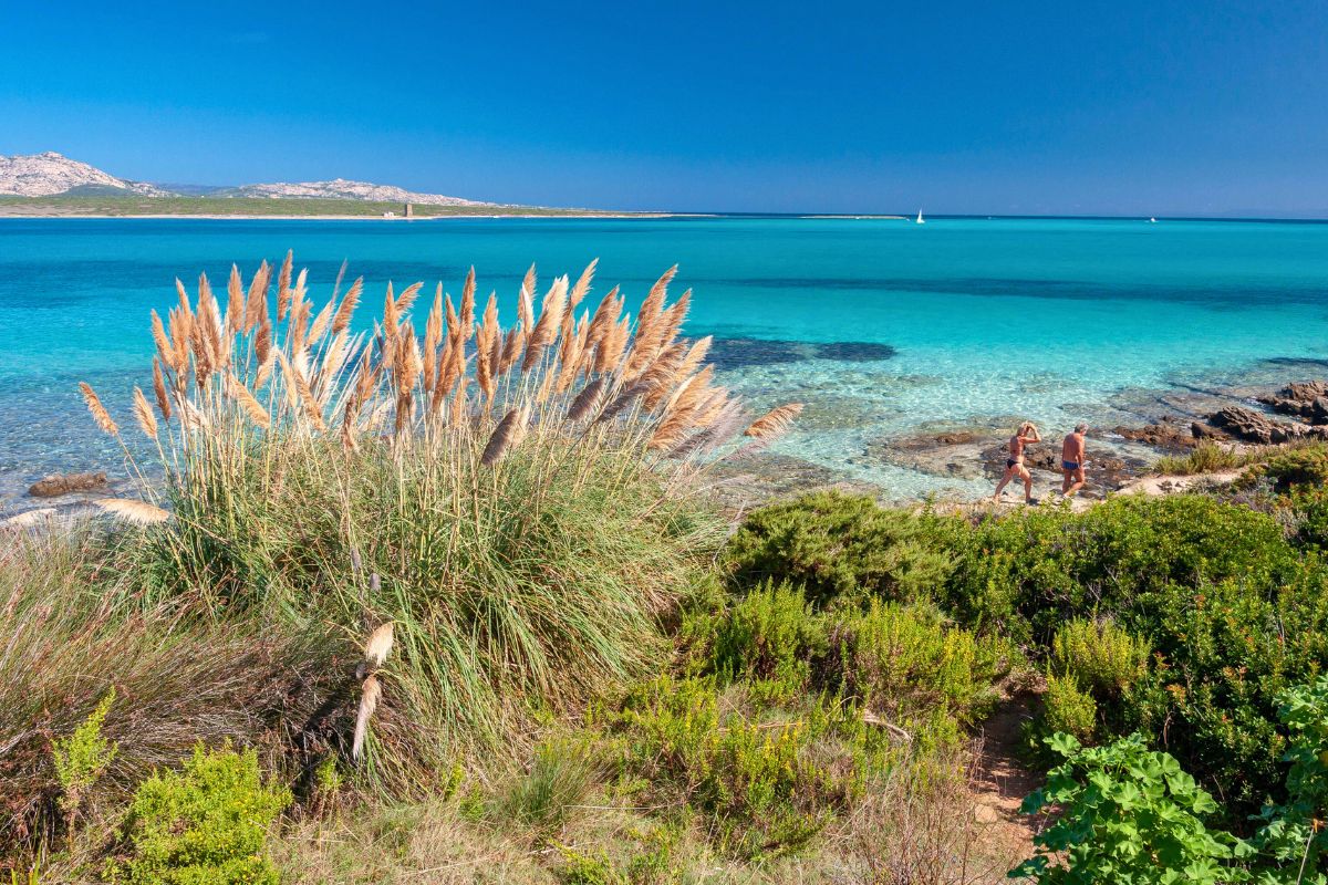 Quando visitare Asinara