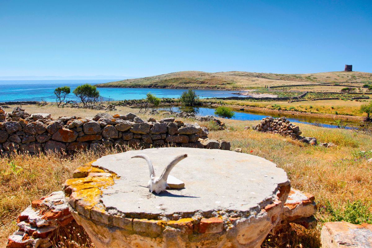 Quanto durano escursioni Asinara