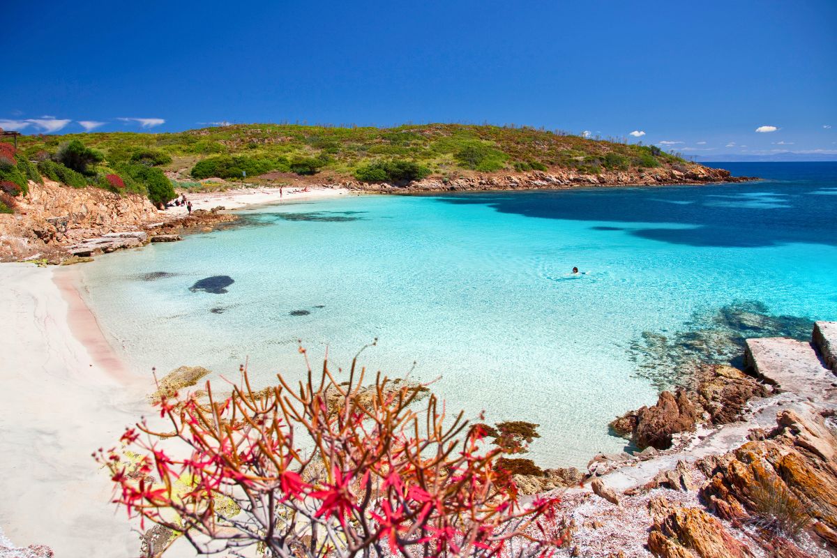 Spiagge Asinara