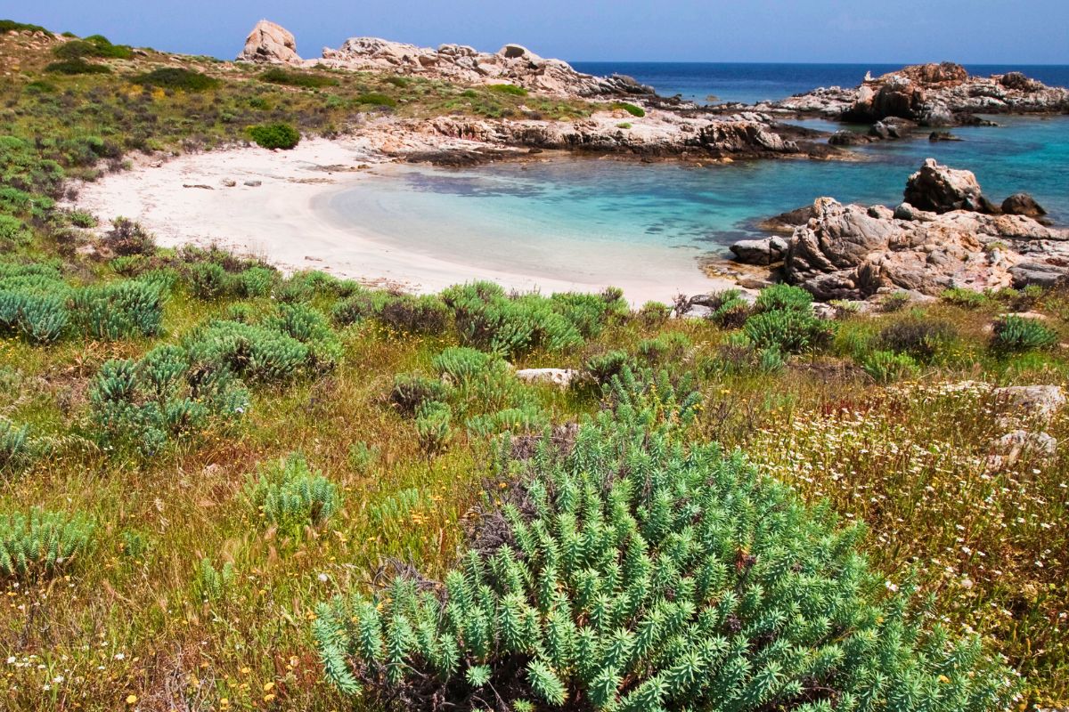 Tour via terra Asinara