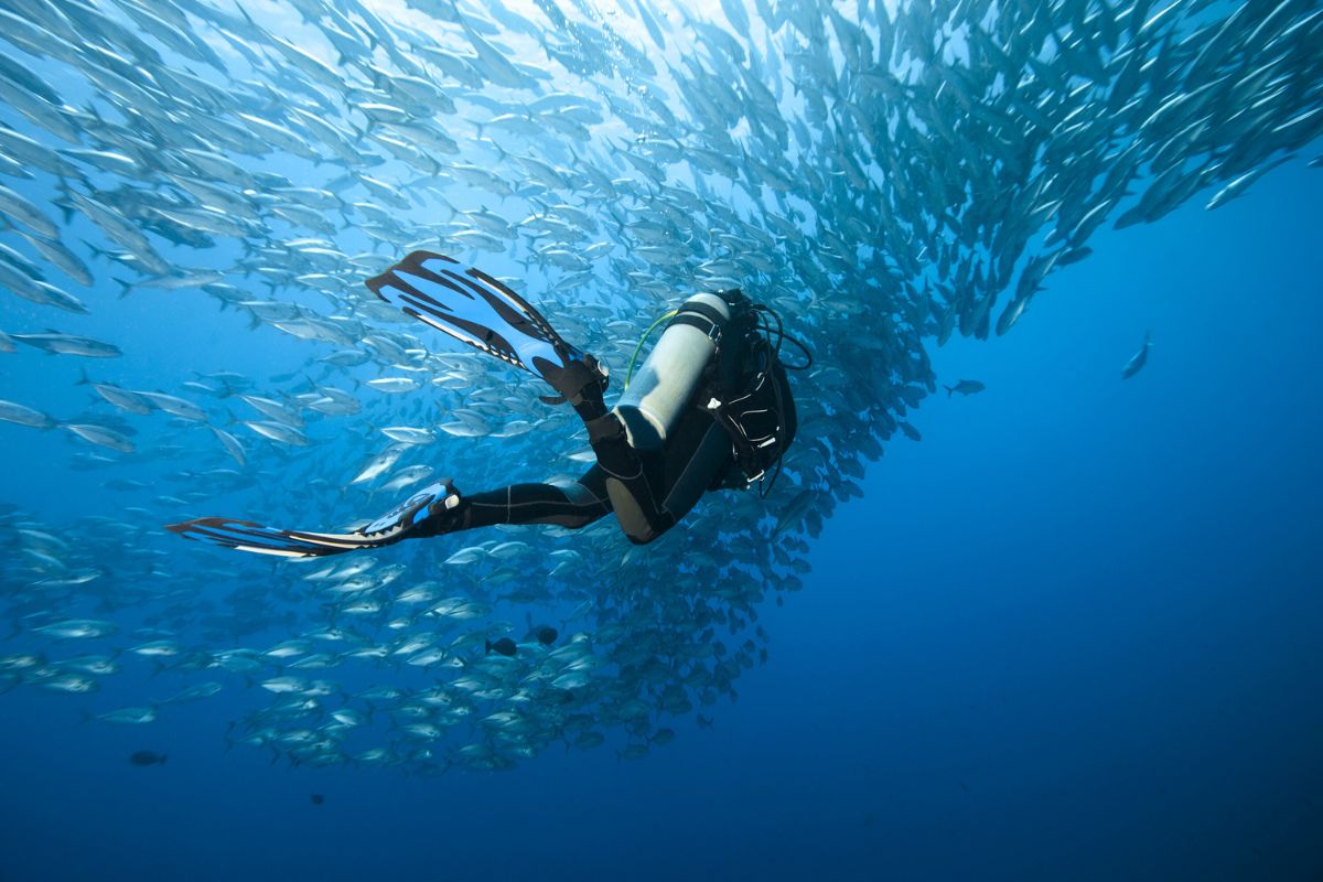 scuba diving in Cadiz