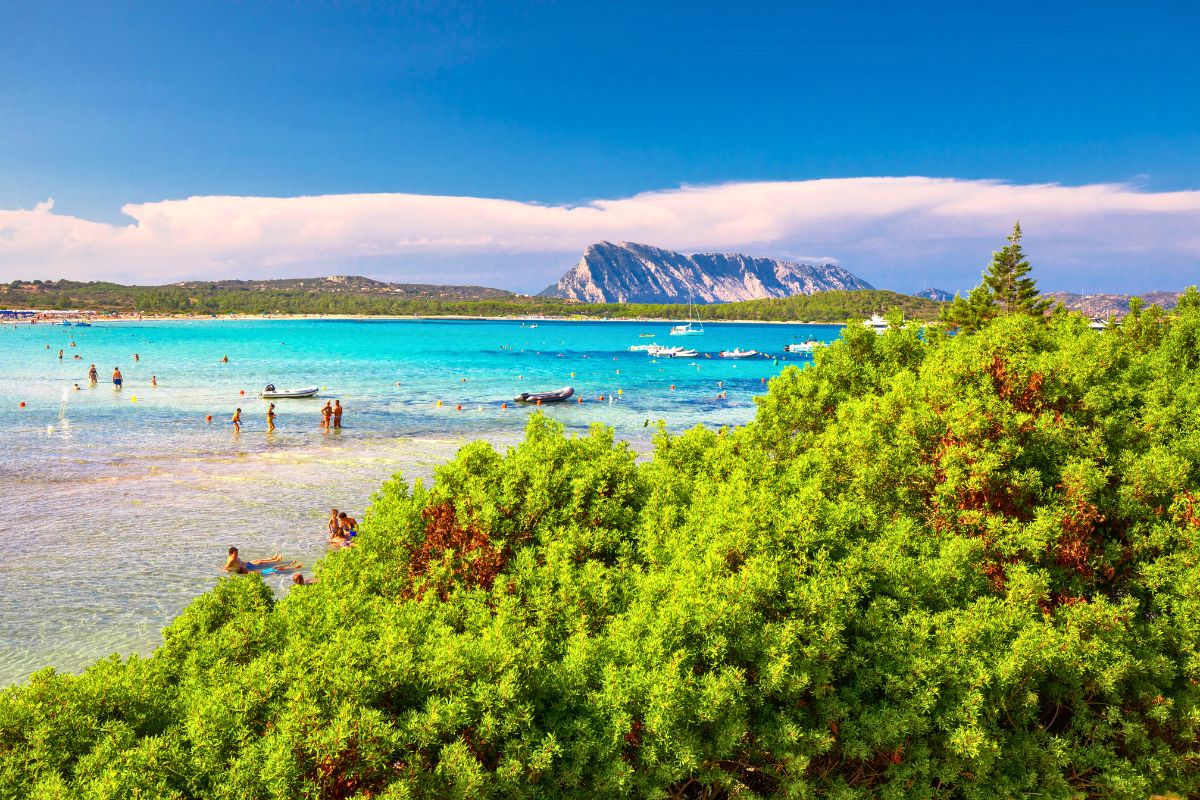 Escursioni a Tavolara da San Teodoro