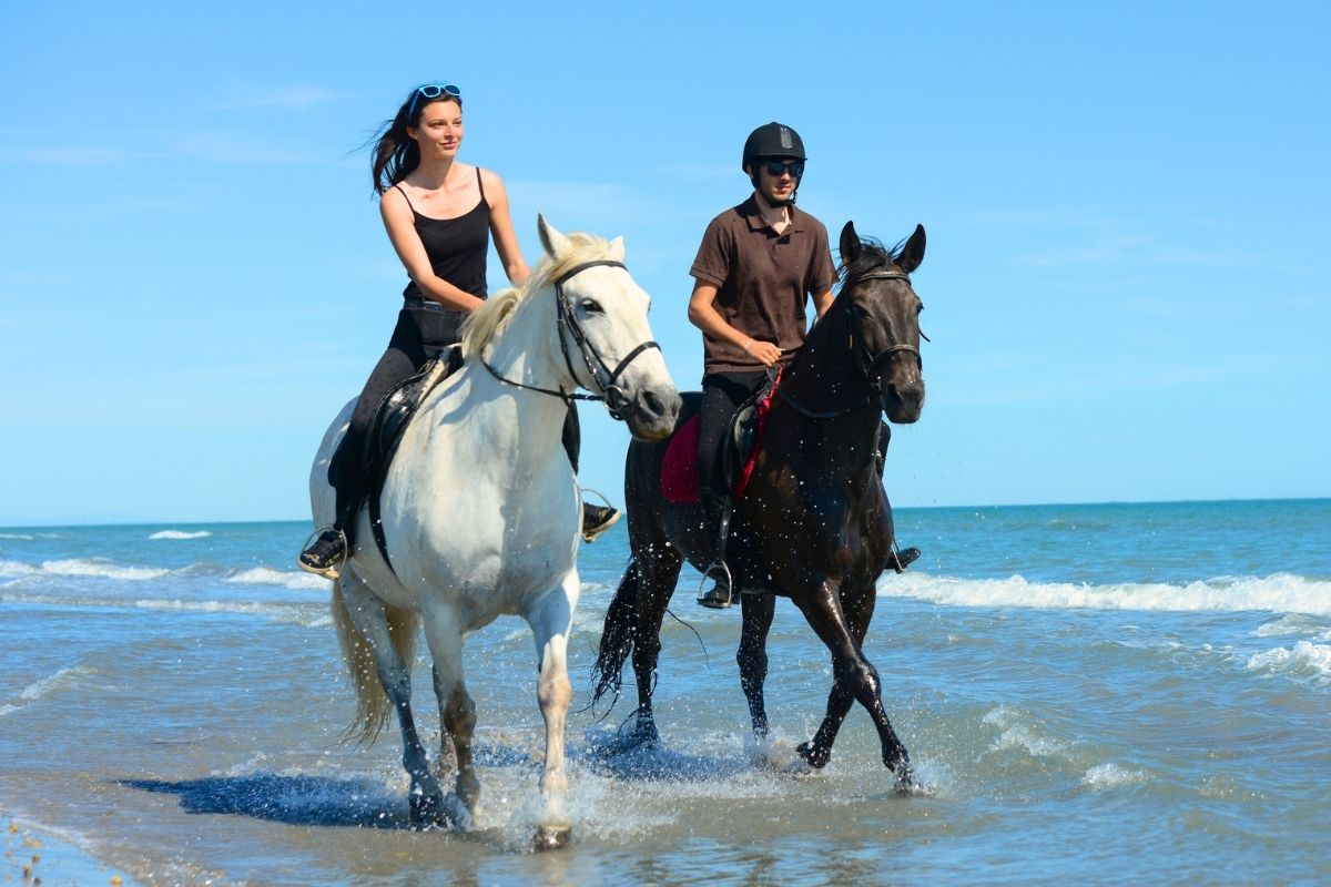 Rainbow Beach Horse Rides, Sunshine Coast