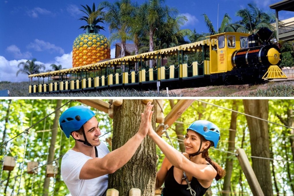 58 Fun Things to Do on the Sunshine Coast, Australia TourScanner
