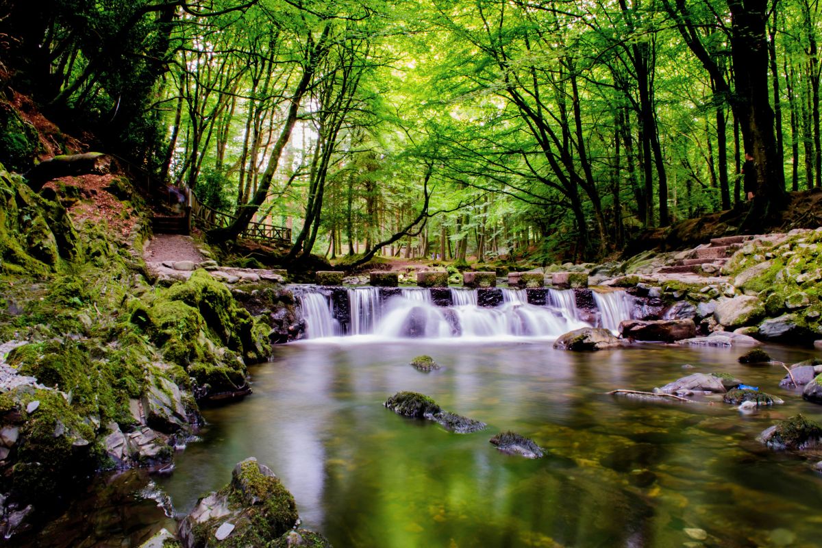 Tollymore Forest Park, Game of Thrones, Ireland