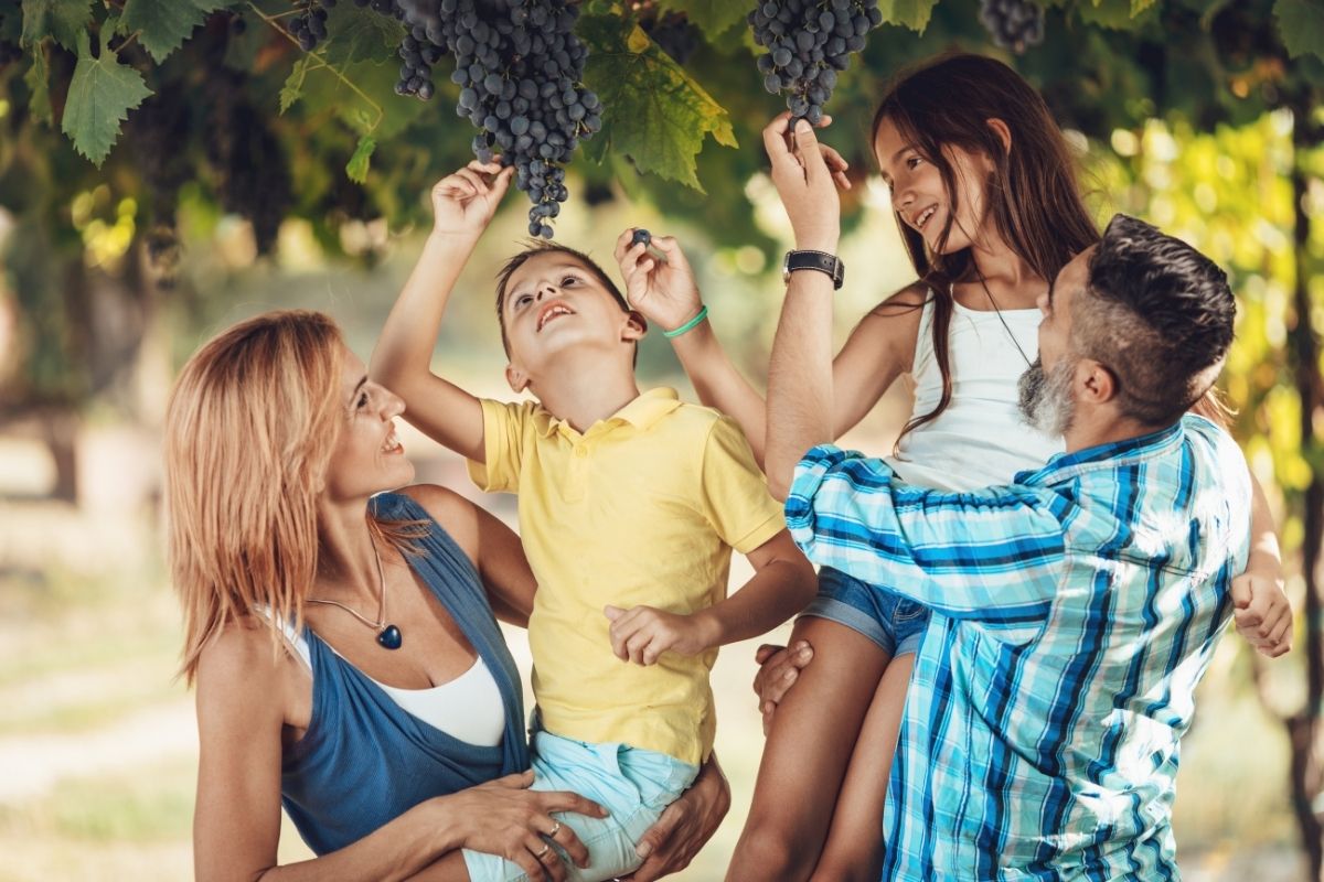 family-friendly wineries in Hunter Valley