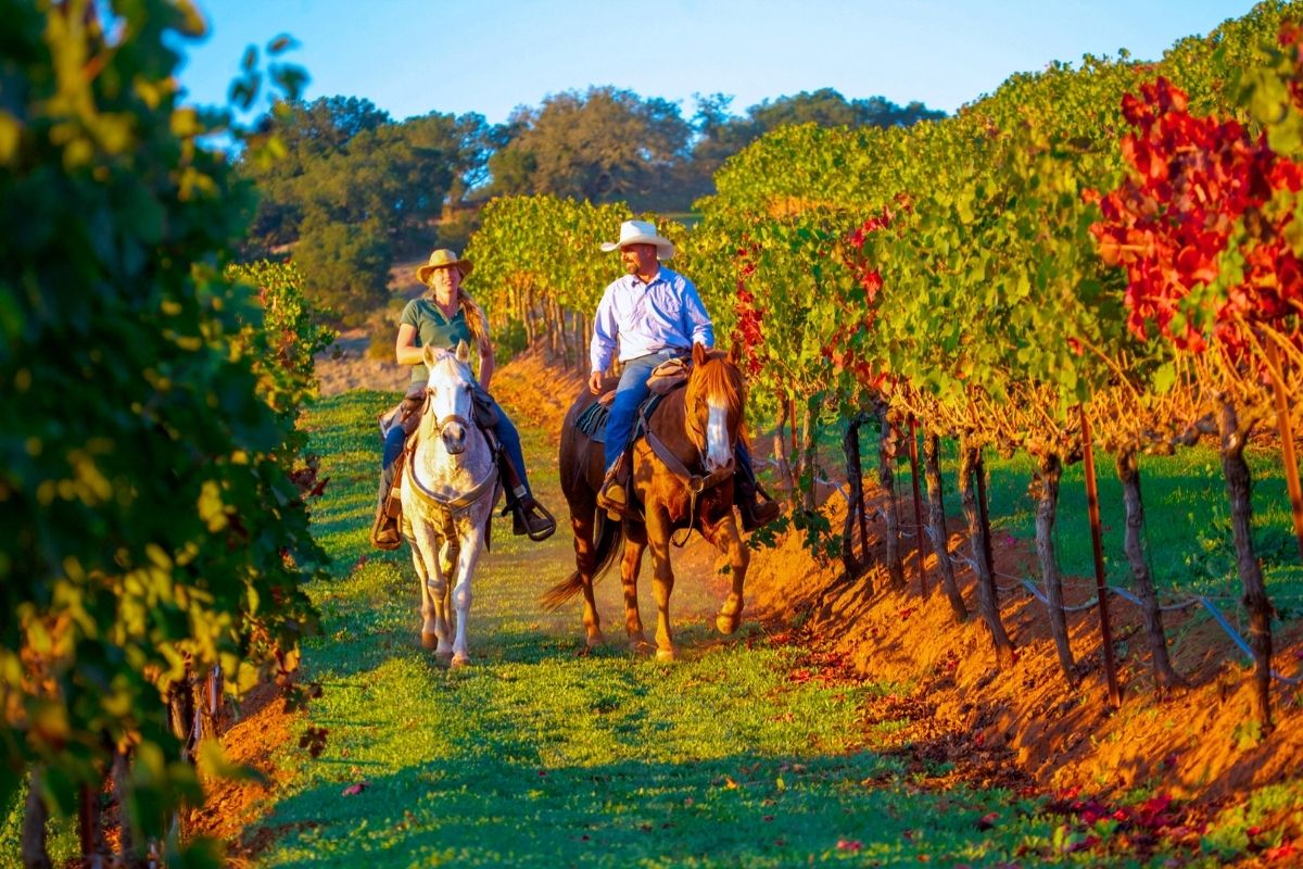 horse riding in Hunter Valley