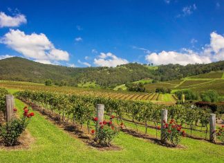 things to do in Hunter Valley
