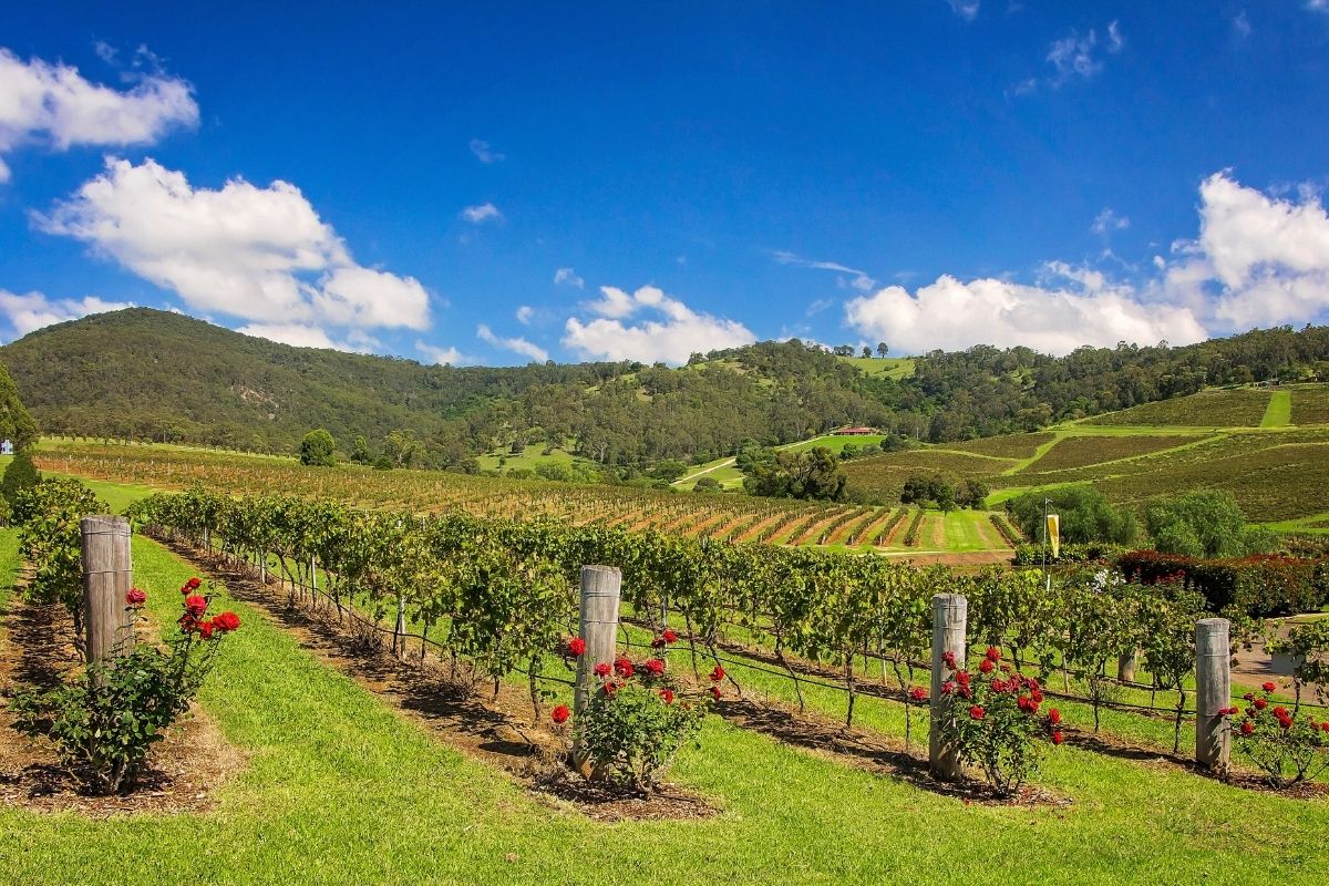 things to do in Hunter Valley