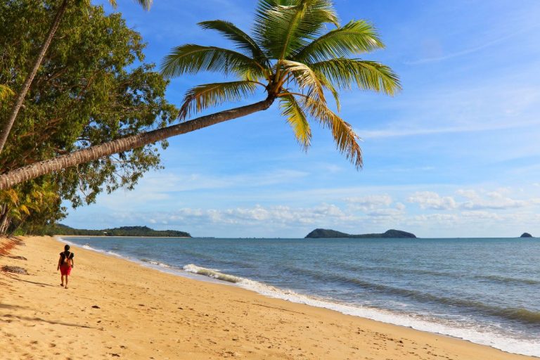 24 Fun Things To Do In Palm Cove Australia Tourscanner 