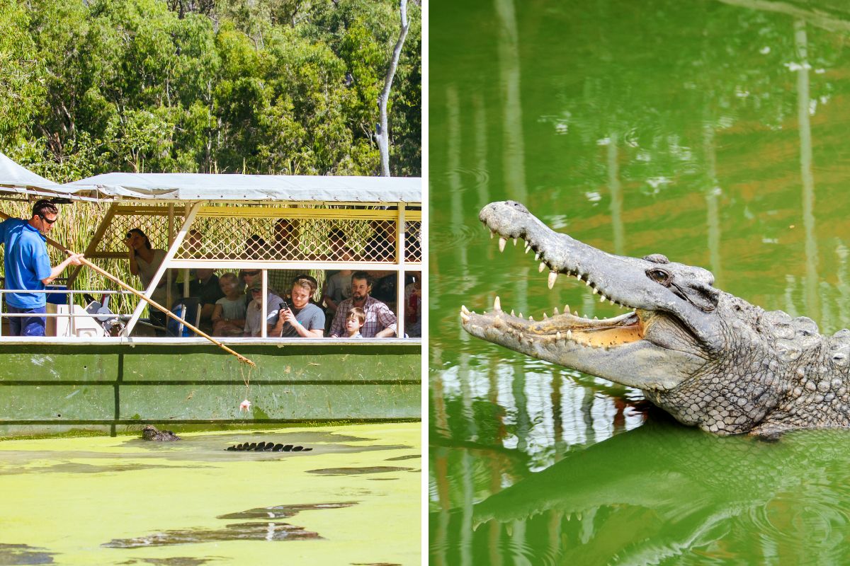 Hartley’s Crocodile Adventures, Palm Cove, Australia