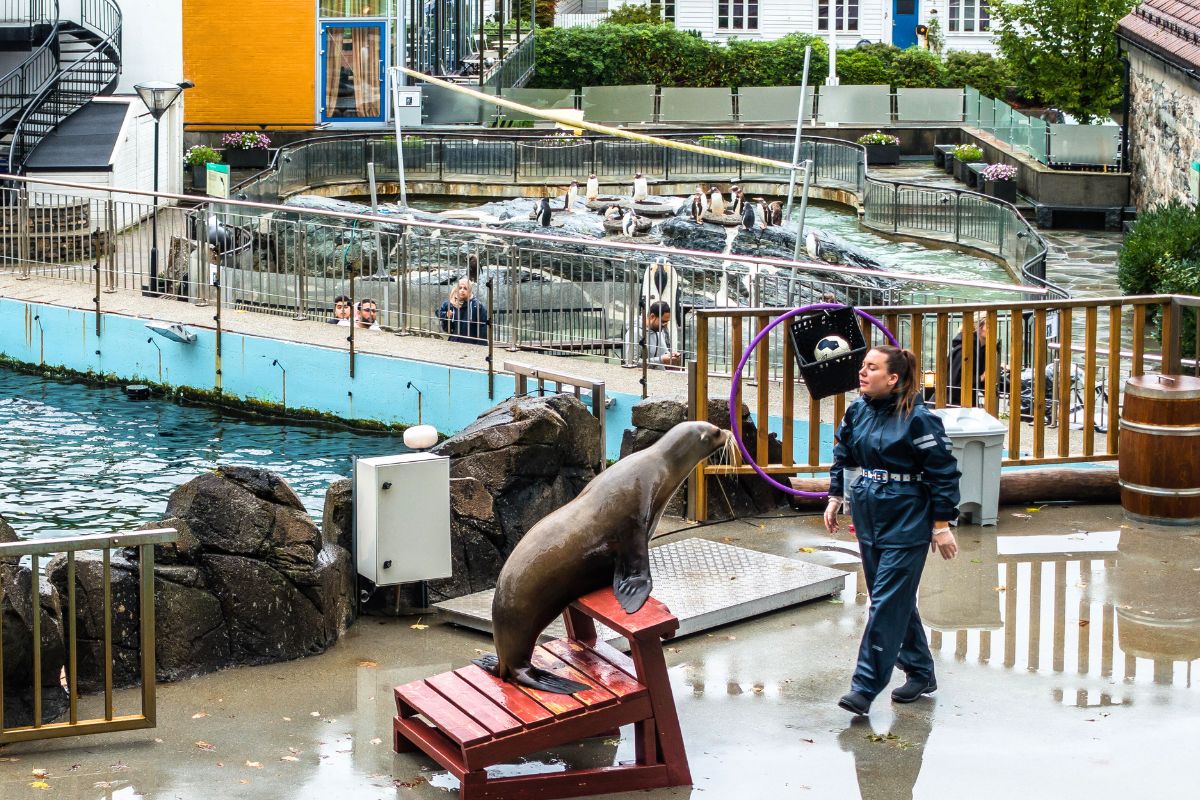 Bergen in Norwegen - bunt ✨ charmant & besuchenswert