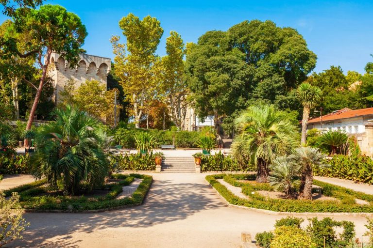 32 Fun Things to Do in Montpellier, France - TourScanner