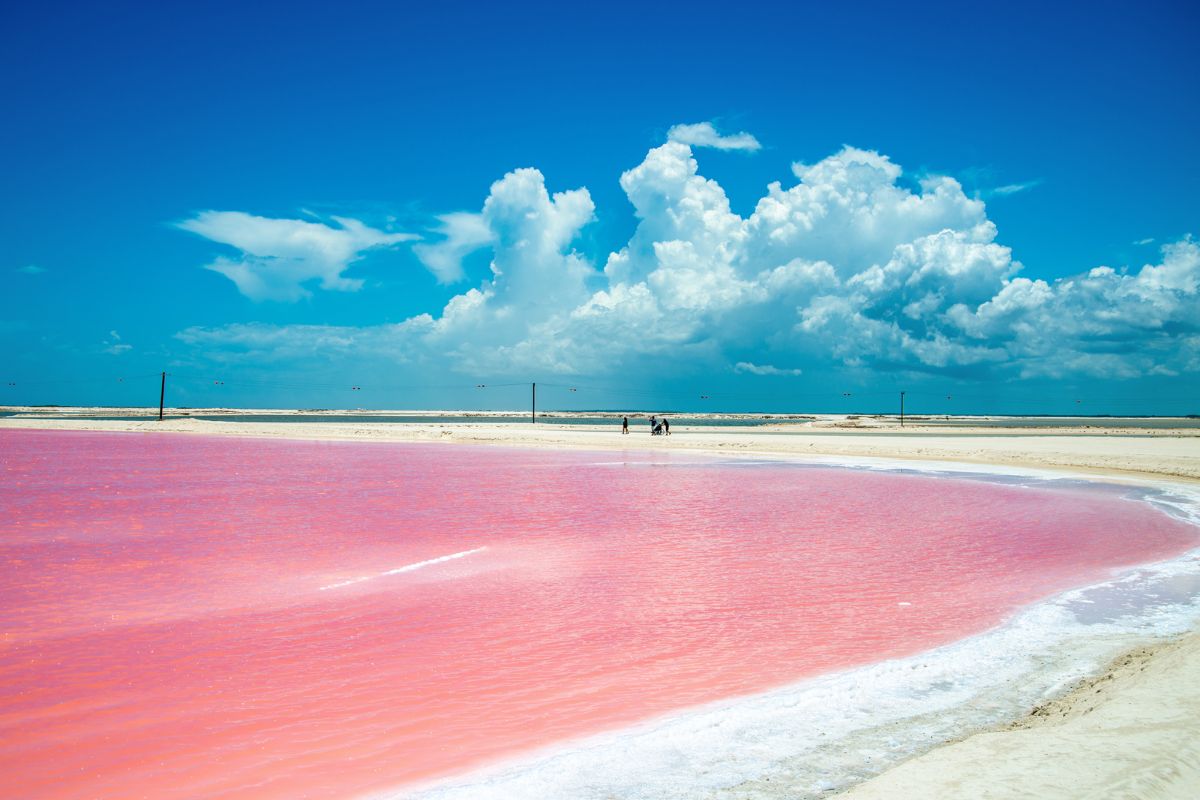 Водоем который окрашивается в нежно розовый цвет. Розовая Лагуна Венесуэла. Pink Lake Mexico.