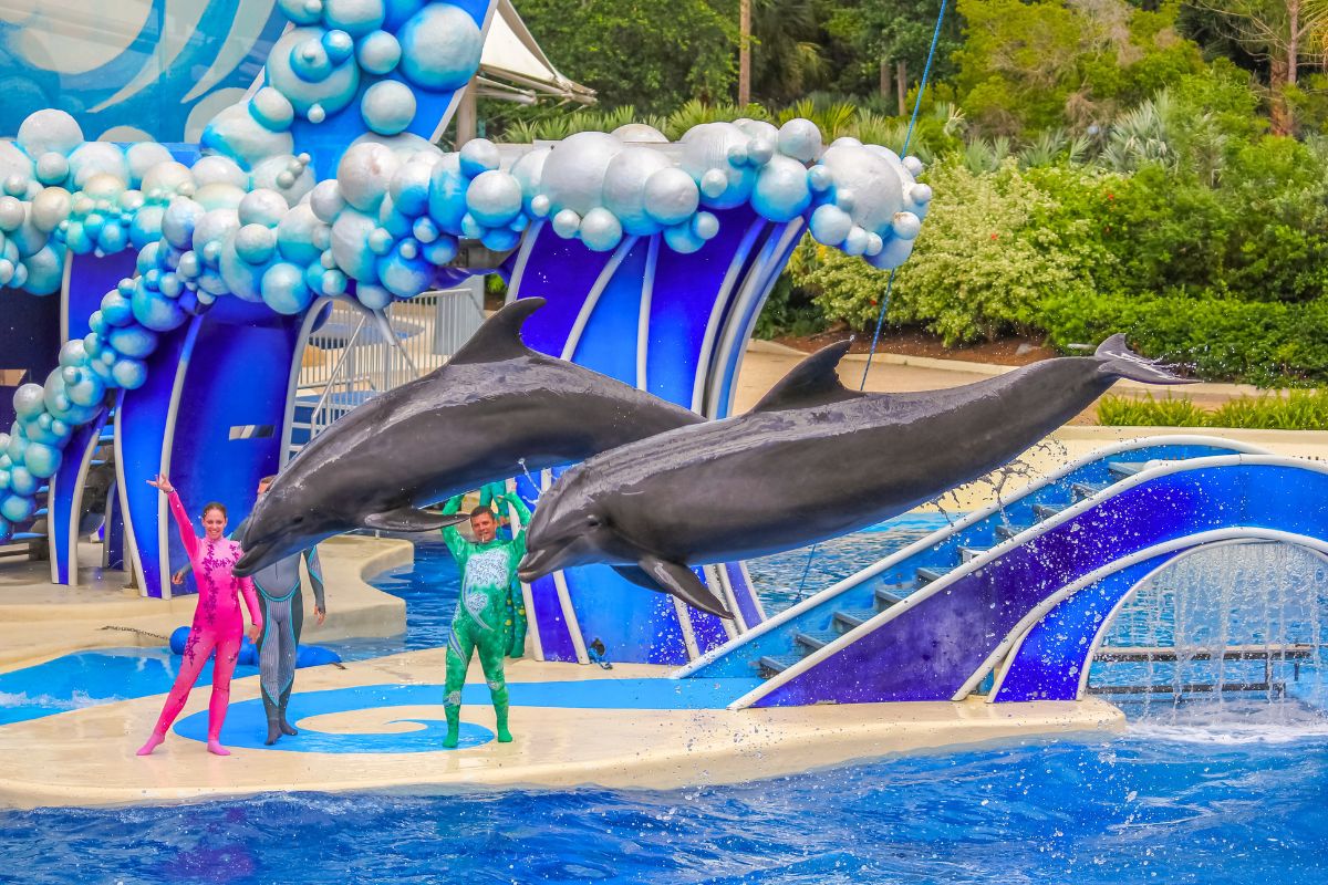 SeaWorld Orlando Tickets Deals - Up to 52% Off