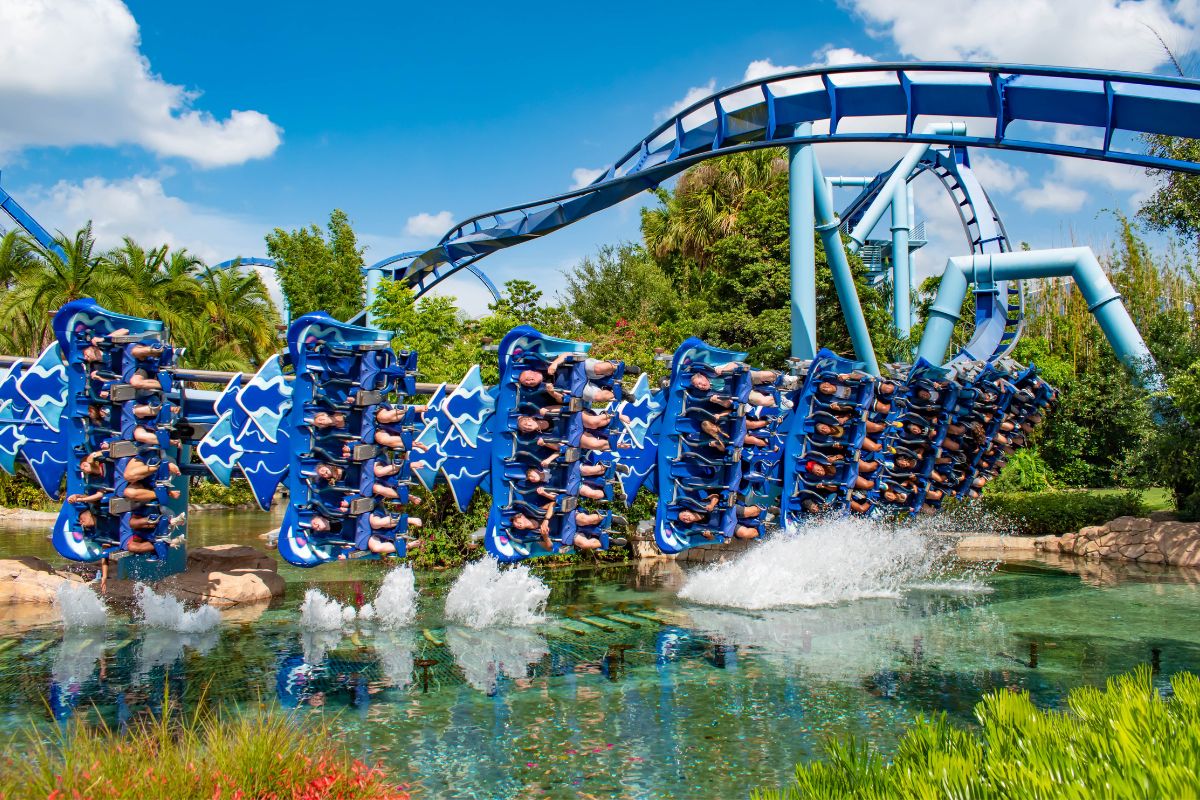 Behind The Thrills  SeaWorld Orlando becomes the official place where the  Dolphins play…football Behind The Thrills