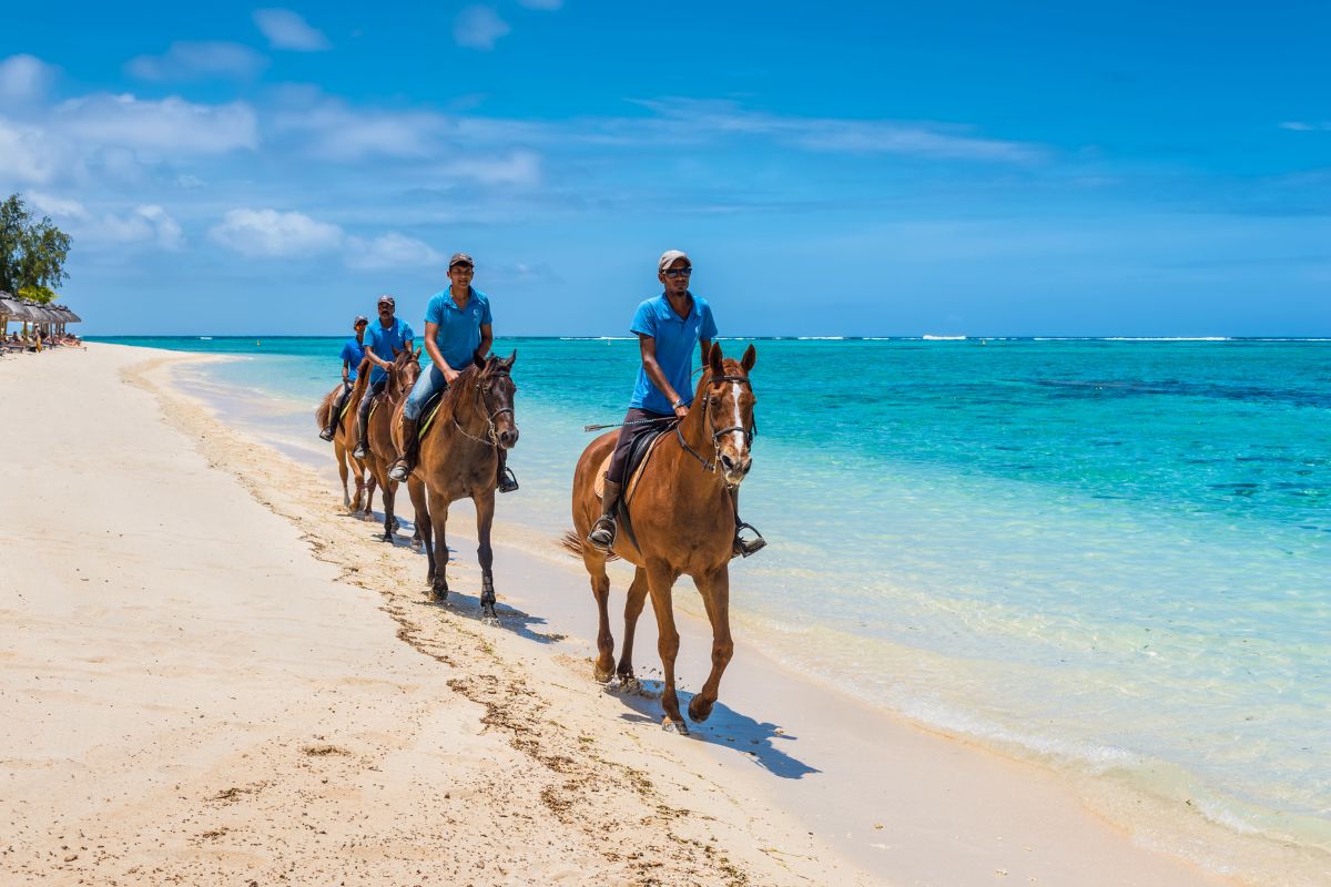 horse riding in Grand Cayman, Cayman Islands