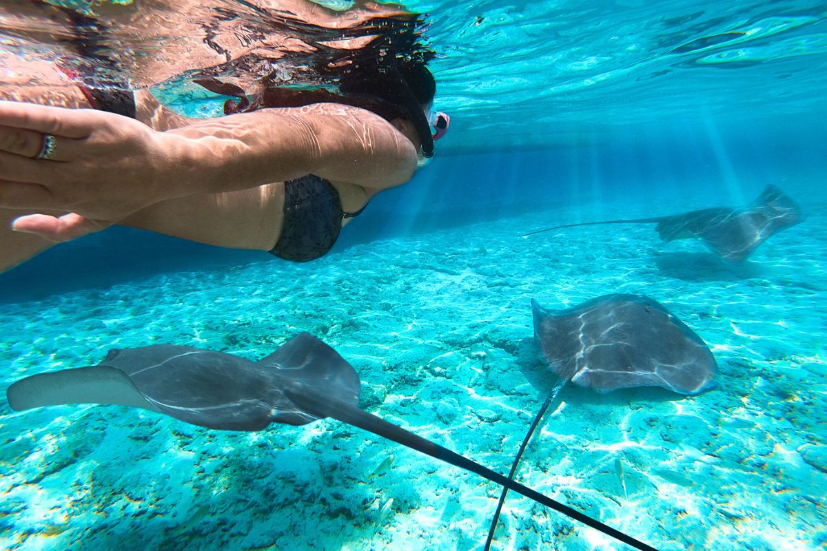 snorkeling in Stingray City, Grand Cayman, Cayman Islands
