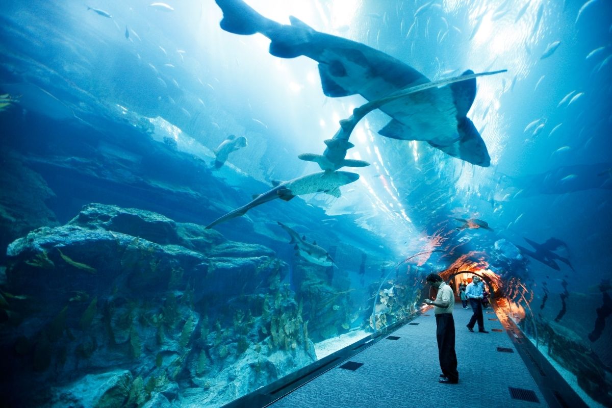 Acquario di Dubai