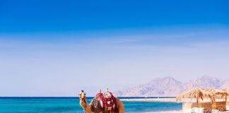 Freizeitaktivitäten in Hurghada