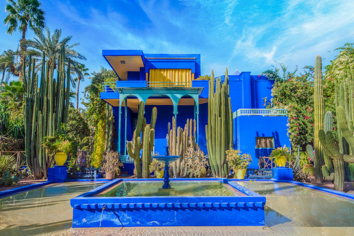 Jardin Majorelle, migliori cose da vedere e da fare a Marrakech