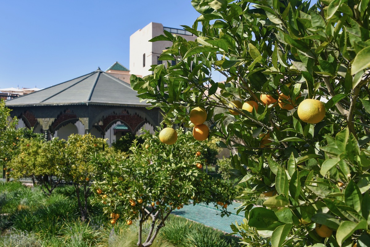 Jardin Secret, migliori cose da vedere e da fare a Marrakech