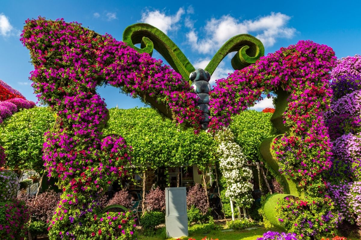 Giardino delle farfalle Dubai