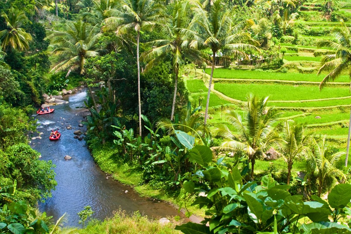 Rafting in acque bianche a Bali