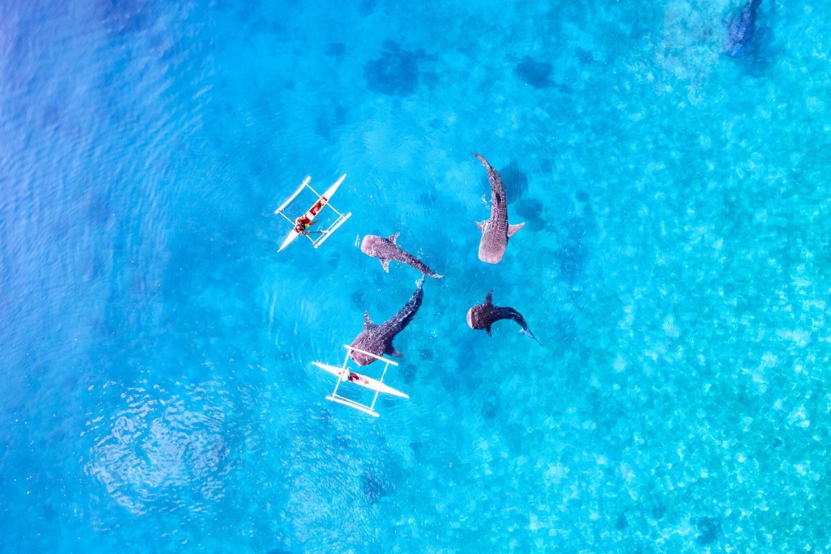 22 Water Sports you Must Try at Least Once in your Lifetime - TourScanner