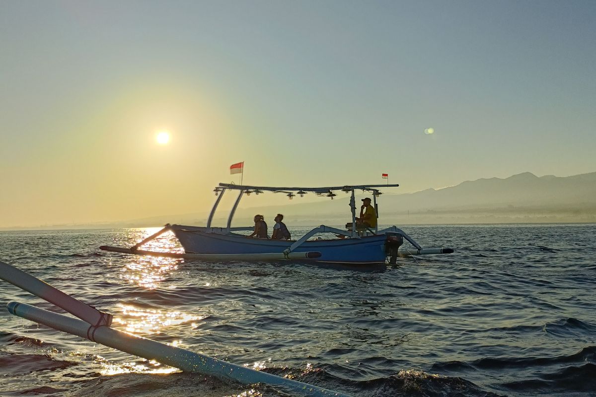 best time for dolphin watching in Lovina