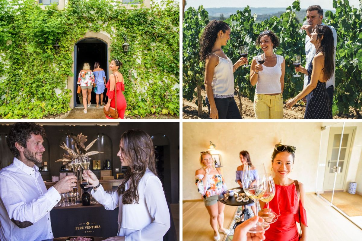 best wine tours in barcelona