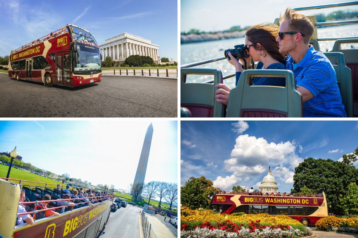 DC_ Hop-On Hop-Off Sightseeing Tour by Open-top Bus