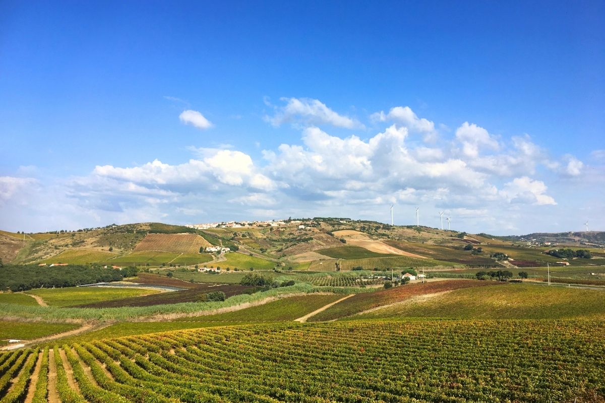 Lisbon wine region, Portugal