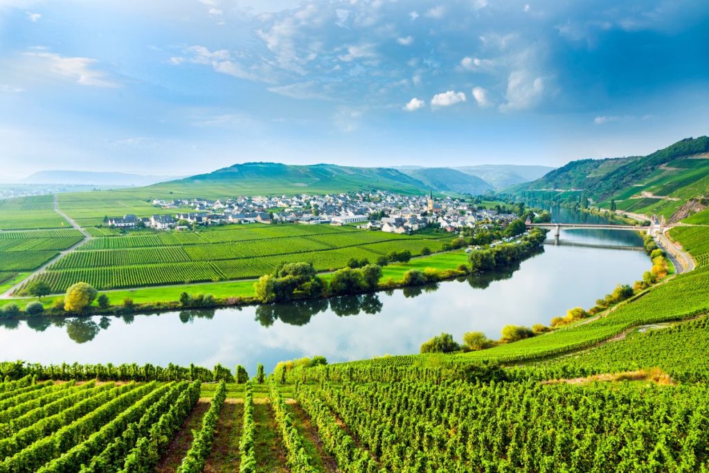 16 Best Wine Regions in France Every Connoisseur Must Visit - TourScanner