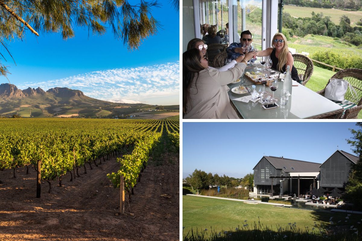 wine tours from cape town