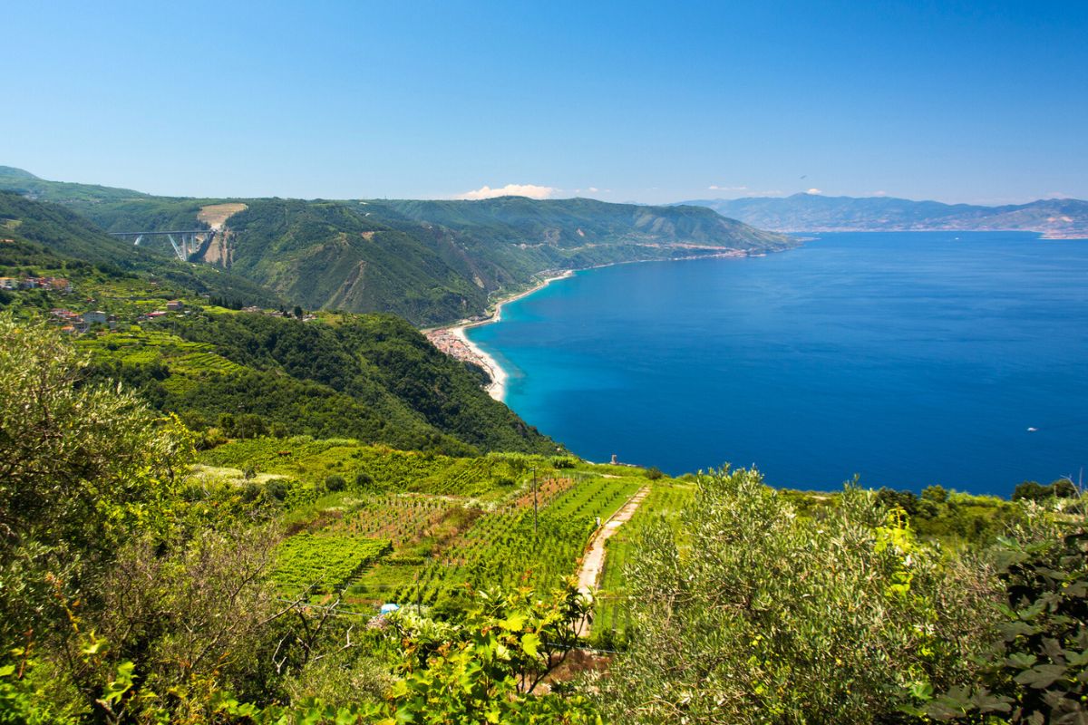 Calabria wine region, Italy