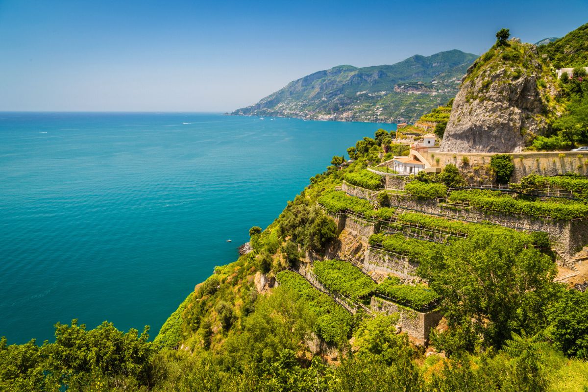 Campania wine region, Italy