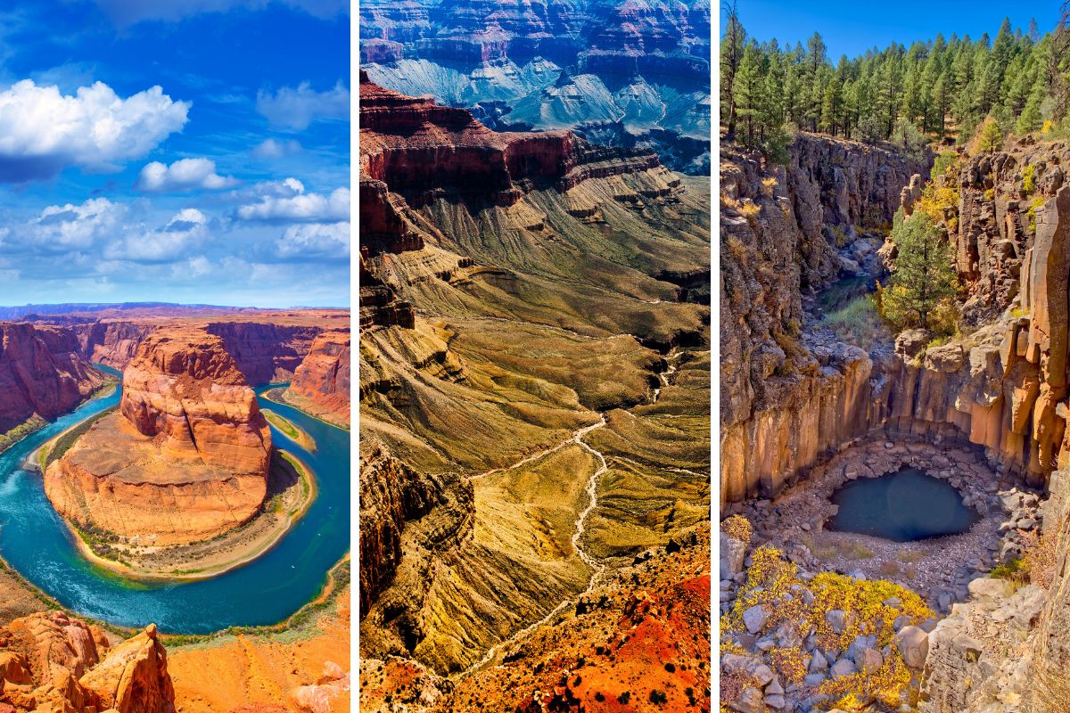 Types of South Rim tours, What you see, Grand Canyon