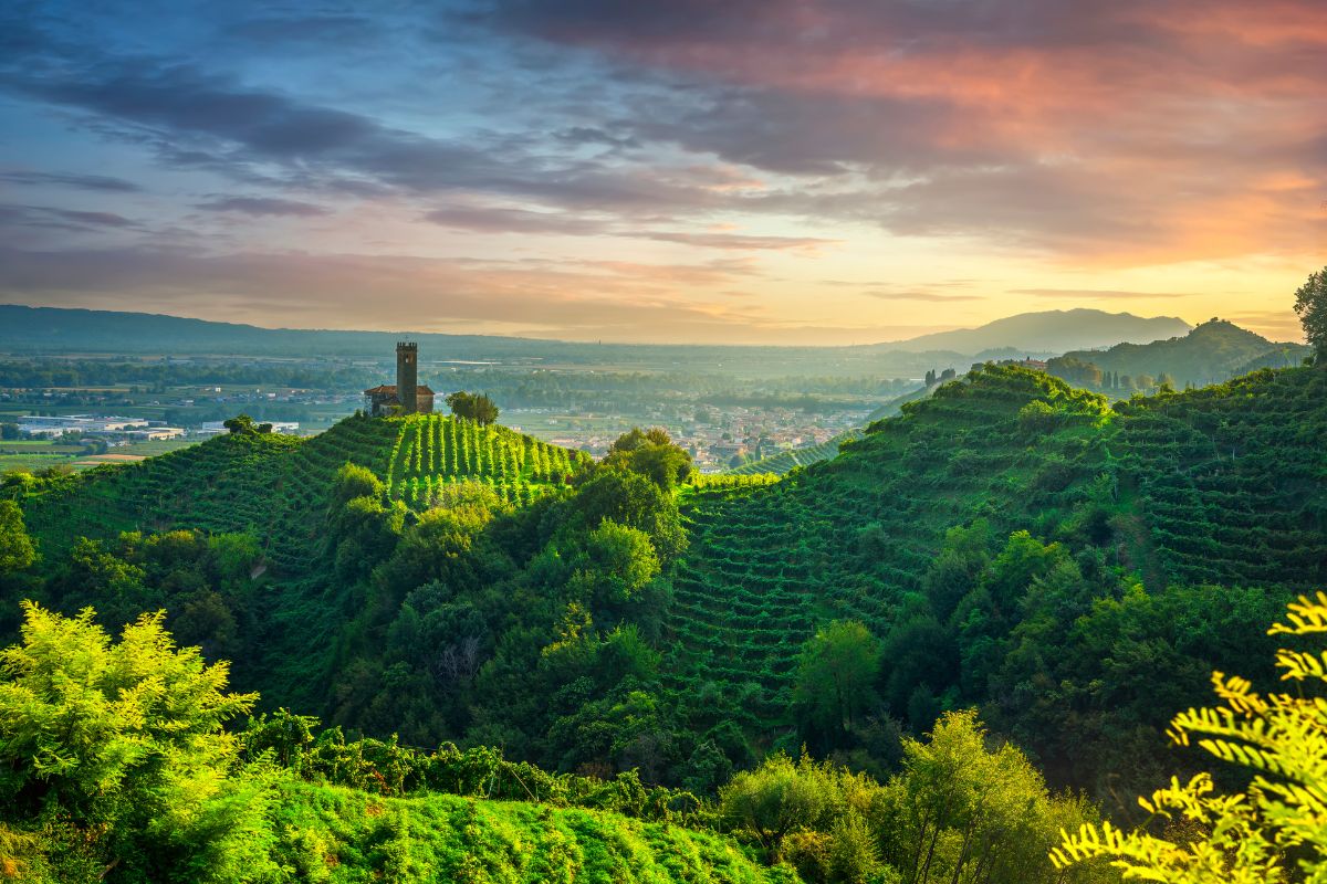 Veneto wine region, Italy