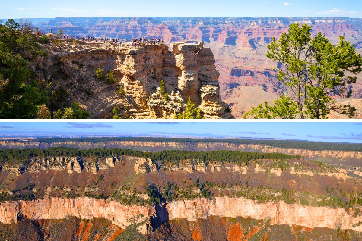 What are the highlights at each rim of the Grand Canyon - South Rim