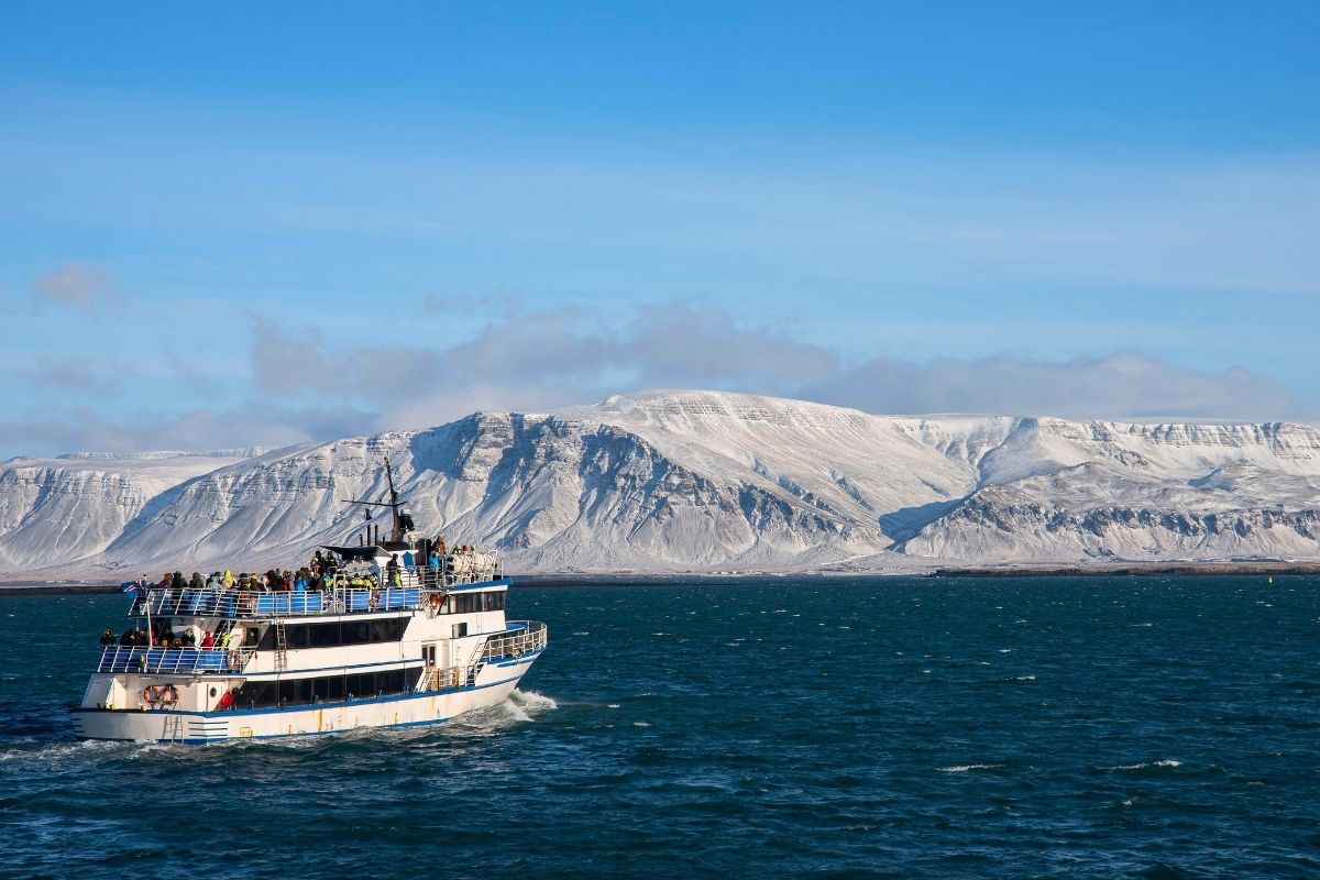 boat tour in Iceland