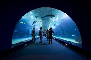 L’Oceanogràfic Ozeaneum: Tickets und Touren