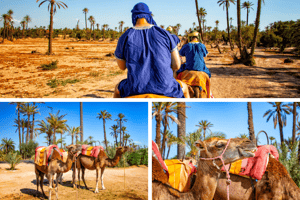 Sahara Desert: Multi-day Trips and Tours from Marrakesh