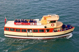 Whale Watching in Sydney