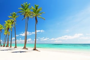 Punta Cana image