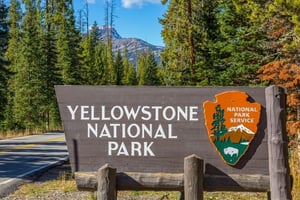 Yellowstone National Park image