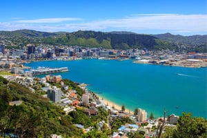 Wellington image