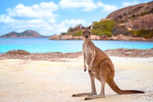 Kangaroo Island image