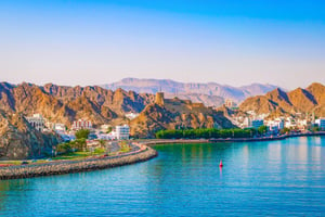 Muscat image